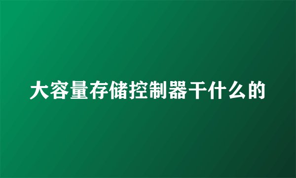 大容量存储控制器干什么的