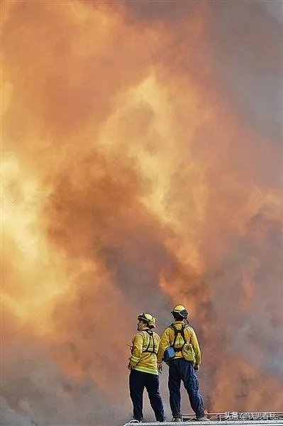 如何看待加州大火势不可挡，加州长向澳大利亚加拿大请求灭火援助？
