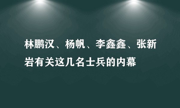 林鹏汉、杨帆、李鑫鑫、张新岩有关这几名士兵的内幕