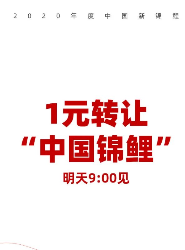 信小呆一元转让中国锦鲤，具体是怎么回事？
