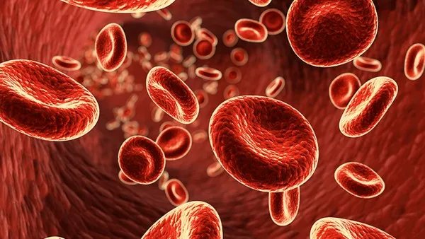 水产品会携带新型冠状病毒吗？如何正确处理生鲜食材？