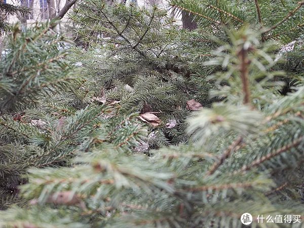 一个过时的备机：RICOH 理光 GX200