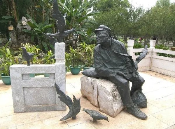 海鸥老人吴庆恒的故事