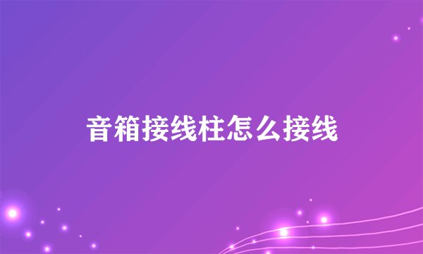 音箱接线柱怎么接线