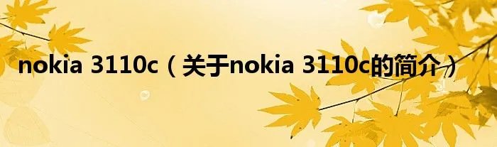 nokia 3110c（关于nokia 3110c的简介）