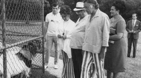 对于南斯拉夫来说 苏捷什卡战役到底有多惨