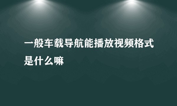 一般车载导航能播放视频格式是什么嘛