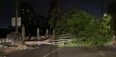 江苏南通大风致11死102伤,这次的极端天气可能是什么原因导致的?