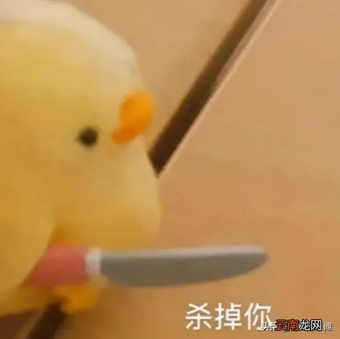 参考王思聪舅妈和乔任梁 王思聪乔梁良