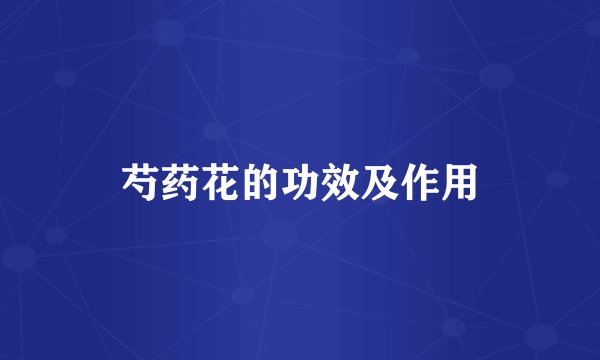 芍药花的功效及作用