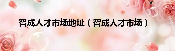 智成人才市场地址（智成人才市场）