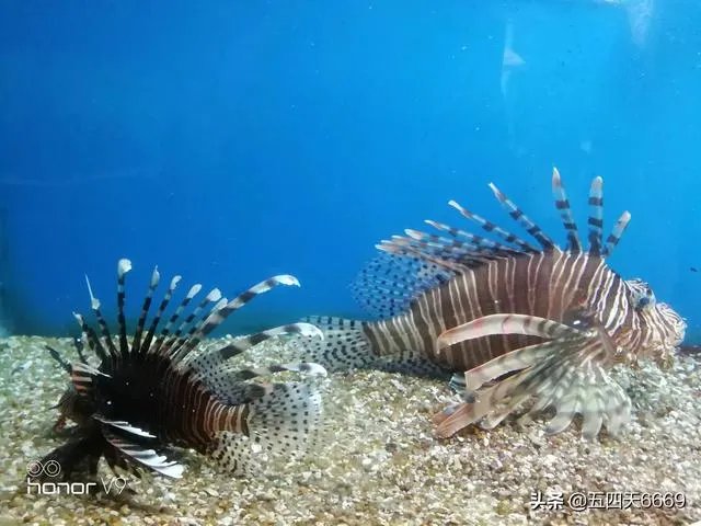 部分餐饮企业复工后涨价,你们能接受吗?