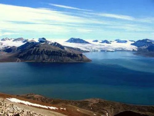 加拿大最后一个完整北极冰架坍塌，这会对地球环境造成什么影响？