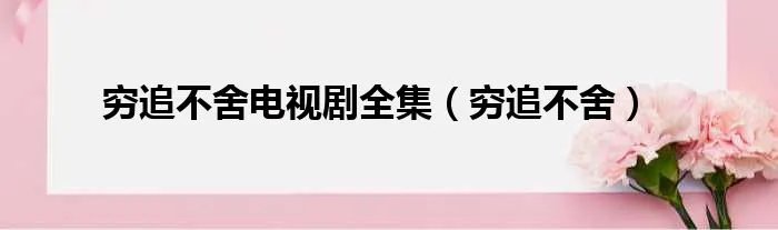 穷追不舍电视剧全集（穷追不舍）