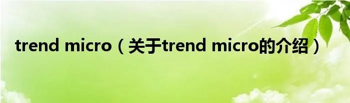 trend micro（关于trend micro的介绍）