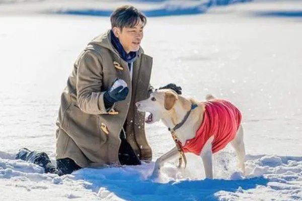 如何评价电影《小Q》？