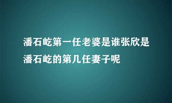 潘石屹第一任老婆是谁张欣是潘石屹的第几任妻子呢