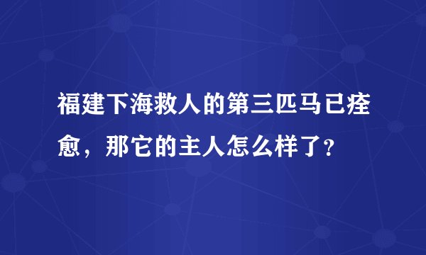 福建下海救人的第三匹马已痊愈，那它的主人怎么样了？