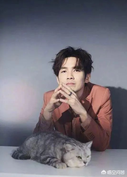 钟汉良谢易桦同框问题你怎么看？