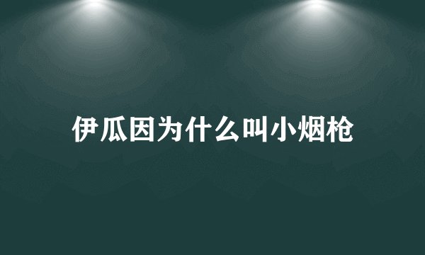 伊瓜因为什么叫小烟枪