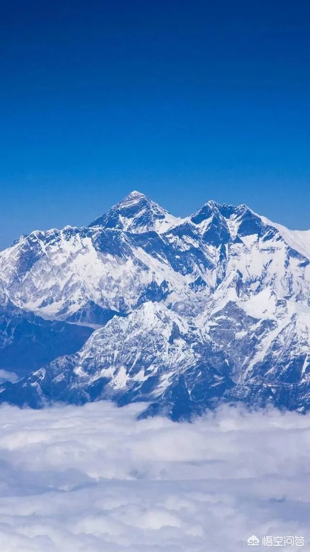 2019年取消著名商标评选，对此你怎么看？