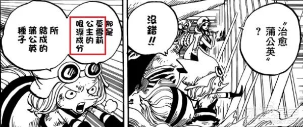 海贼王漫画787话中鸟笼上方的光点是什么？