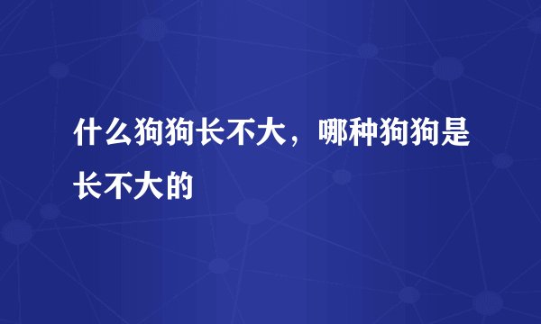什么狗狗长不大,哪种狗狗是长不大的