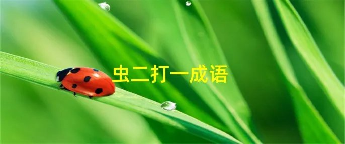 虫二打一成语