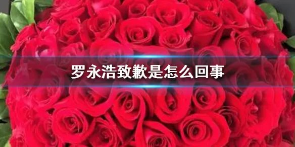罗永浩致歉是怎么回事 罗永浩致歉事件详情