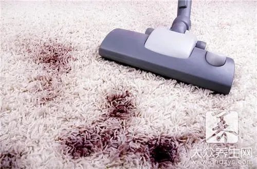 简单有效白蚁防治方法