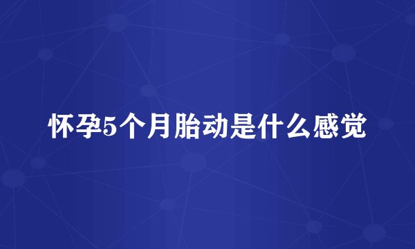 怀孕5个月胎动是什么感觉
