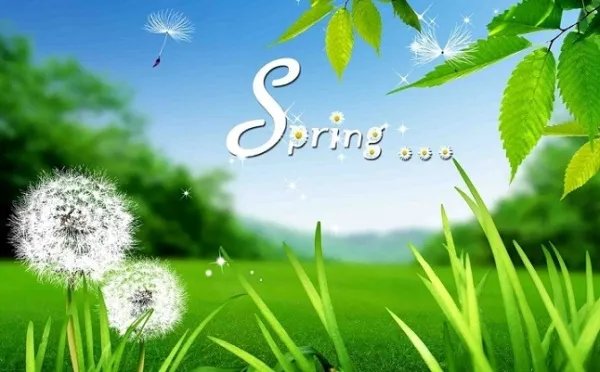 春天的画儿童画画