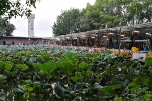 番禺十大农家乐 高二牛农庄河鲜美食超棒，第五必去