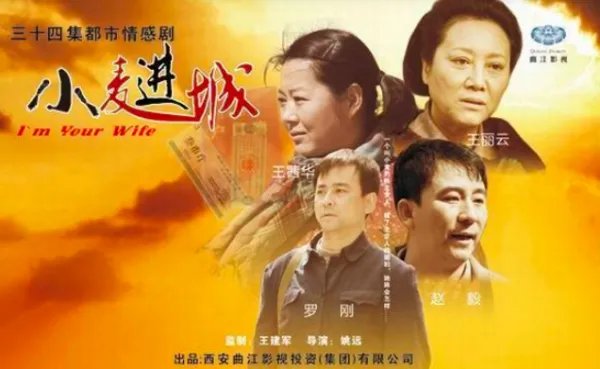 小麦进城电视剧全集34剧情