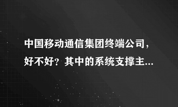 中国移动通信集团终端公司，好不好？其中的系统支撑主要工作是什么？