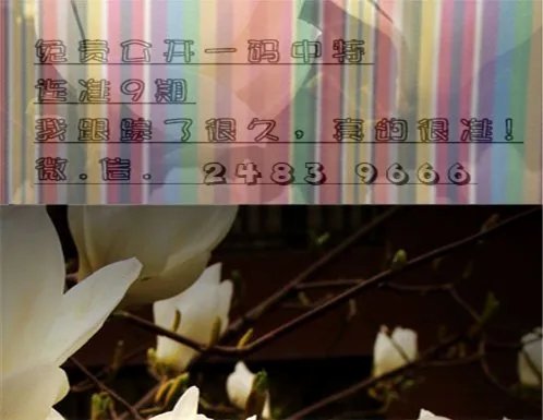 2015笨人鬼码诗001~153