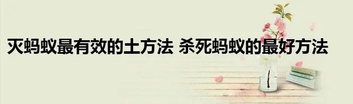灭蚂蚁最有效的土方法 杀死蚂蚁的最好方法