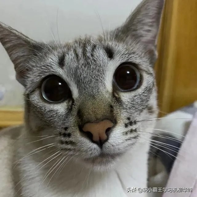 2017到2019什么梗?你怎么看?