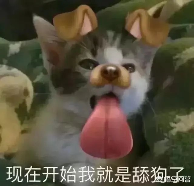 RW已经官宣Smlz离队,如何评价司马老贼在RW这一年的表现?