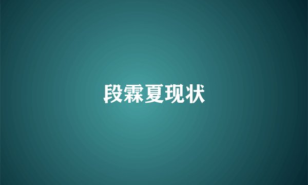段霖夏现状