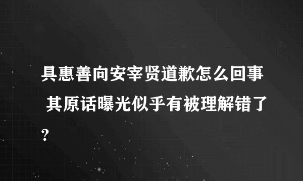 具惠善向安宰贤道歉怎么回事 其原话曝光似乎有被理解错了?