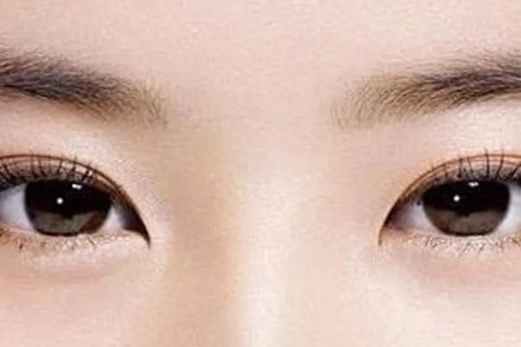 人的五官指什么部位