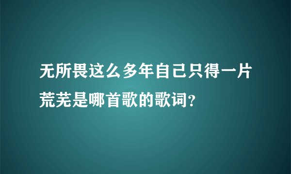 无所畏这么多年自己只得一片荒芜是哪首歌的歌词？