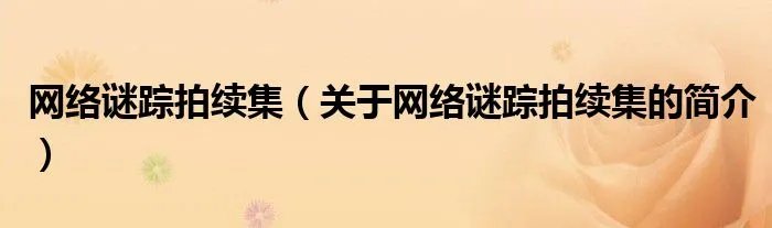 网络谜踪拍续集（关于网络谜踪拍续集的简介）