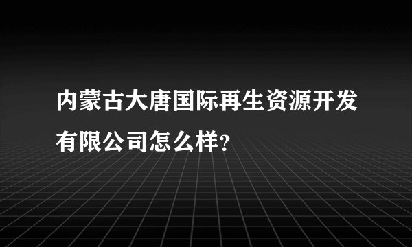 内蒙古大唐国际再生资源开发有限公司怎么样？