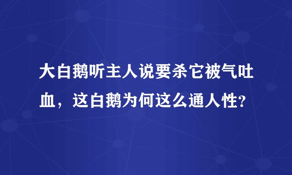 大白鹅听主人说要杀它被气吐血，这白鹅为何这么通人性？