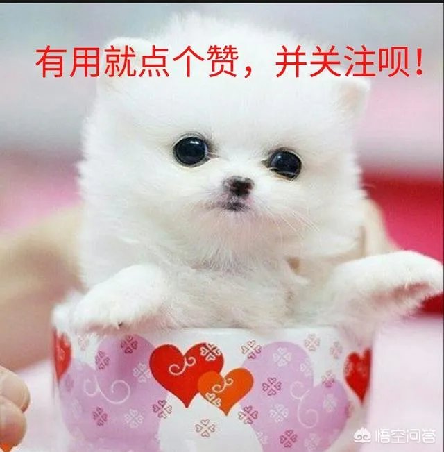 有在电子加工厂上班的没有?现在的工资是多少啊?