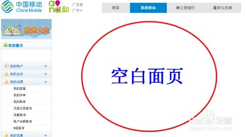 中国移动网上营业厅通话记录查询方法