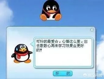 qq宠物停运论坛