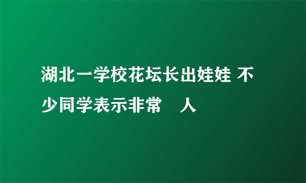 湖北一学校花坛长出娃娃 不少同学表示非常瘆人